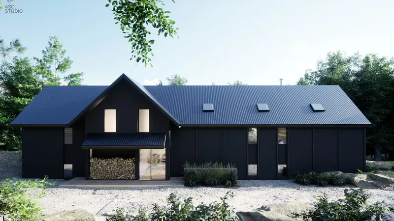 Black board-and-batten cottage with skylights and a sheltered firewood store.